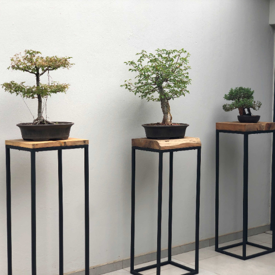 Bonsai Stand Table